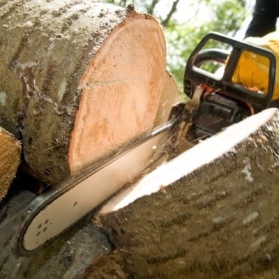 A chainsaw cutting a tree stump. We grinded the stump down after we removed the tree in Denton TX.